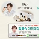 인셀덤 모아대리점