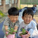 그림나라유치원 이미지