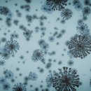 올바른내과의원 이미지