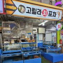 고릴라 회 포차 티스토리