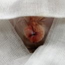 베리굿동물병원 이미지