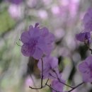 봄여름가을 이미지