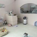 멍발란스 이미지