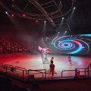 제주아트 서커스 | 제주 아트서커스 후기 : 한국판 태양의 서커스! 공연시간 가격 할인 꿀팁 총정리