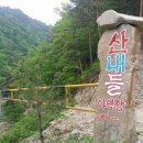 산내들관광농원 이미지