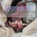 센텀메디컬센터 이미지