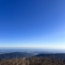 우목장 | 강원도여행 대관령가볼만한곳 삼양그라운드힐 삼양목장