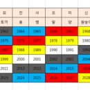 본인이 어떤 색깔의 띠를 가지고 있는지 알아보자 이미지