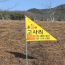 (주)올참