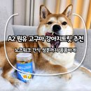 해남동물병원 | A2 원유 고구마 강아지트릿 추천, 노즈워크 간식 성분까지 꼼꼼하게
