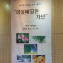 나래울 노인복지관 | 나래울 복지관 미술 전시