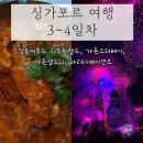 비티호텔(BT HOTEL) | 싱가포르 4박 5일 여행 3~4일차 센토사 점보씨푸드, 가든스 더베이