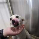 블랙맘바 - 부평구 부평대로32번길 20 | 블랙맘바