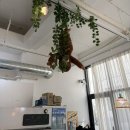 은월초등학교 | 울산 북구 일본 가정식 맛집 추천｜모듬초밥·야끼우동·후토마키 후기, 가족·데이트 모두 OK