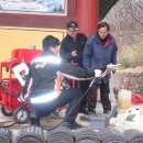 이동119안전센터 이미지