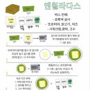 칸티나 이미지