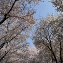 세븐일레븐 경의숲길점 이미지