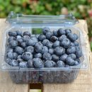 하일농장 이미지