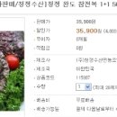 싱싱알뜰마트 이미지