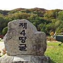 제4땅굴 Daum카페