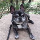 윤승농장 | 주간일기 | 슬펐다가 행복했다가 많은 일이 있었던 10월의 마지막주