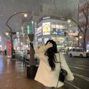 부치통상 | 소버샵 블러시 알파카 하프코트 아이보리 후기 (+미닛뮤트 시어링 토트백 크림)