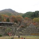 삼성궁 이미지