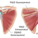 더셀채원병원 이미지