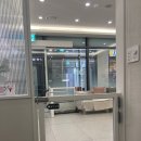 신촌 숲 동물병원 | 신촌숲동물병원 사랑이 추가예방접종 후기