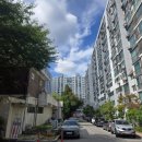 서초-서초-서초-30908 이미지