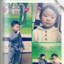 성복목장 Daum카페