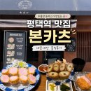 본카츠 | [평택역 맛집] 본카츠 내돈내산 솔직후기, 육즙 가득했던 평택 돈까스 맛집