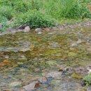 서울추모공원 화장실 이미지