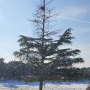 로이네 | 김제 로이네 커피 로스터즈 후기