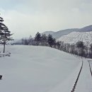로미지안 치유의 숲 이미지