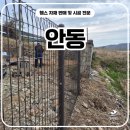논골길 | 안동휀스 - 출입문 철거 후 메쉬쌍문과 외문으로 다시 잡은 후기