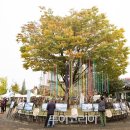 나루농장 이미지