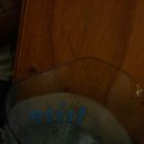 엉뚱한 포차 이미지