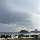 모자이크 어거스트 | 임신 26주차에 떠난 국내 태교여행 : 양양 모자이크 어거스트, 주문진항수산시장