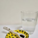 마을리더의 실생활속 건강관리 | 밀크씨슬 실리마린 햇살이네마을 리버햇살 리버액티브 후기