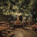 닥스결혼정보 이미지