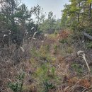 조양목장 이미지