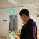 레디바디 이미지