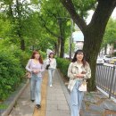 청와대(북악산 342m)▶경복궁(서울) 이미지