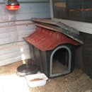 둥이농장 이미지