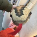 대전비알티(주) 네이버블로그