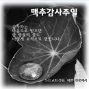 7월 7일 주일 교회소식 이미지