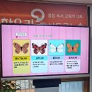 나룰초등학교 이미지