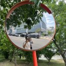 경북대학교 농대4호관 이미지