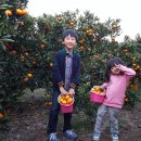 민제농장 이미지